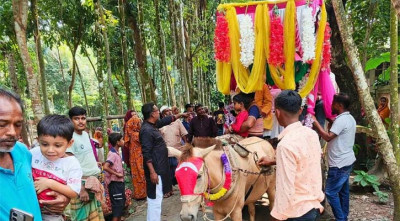 পরিবারের ইচ্ছা পূরণে বিয়ে করে ঘোড়ার গাড়িতে বৌ নিয়ে এলেন ছেলে